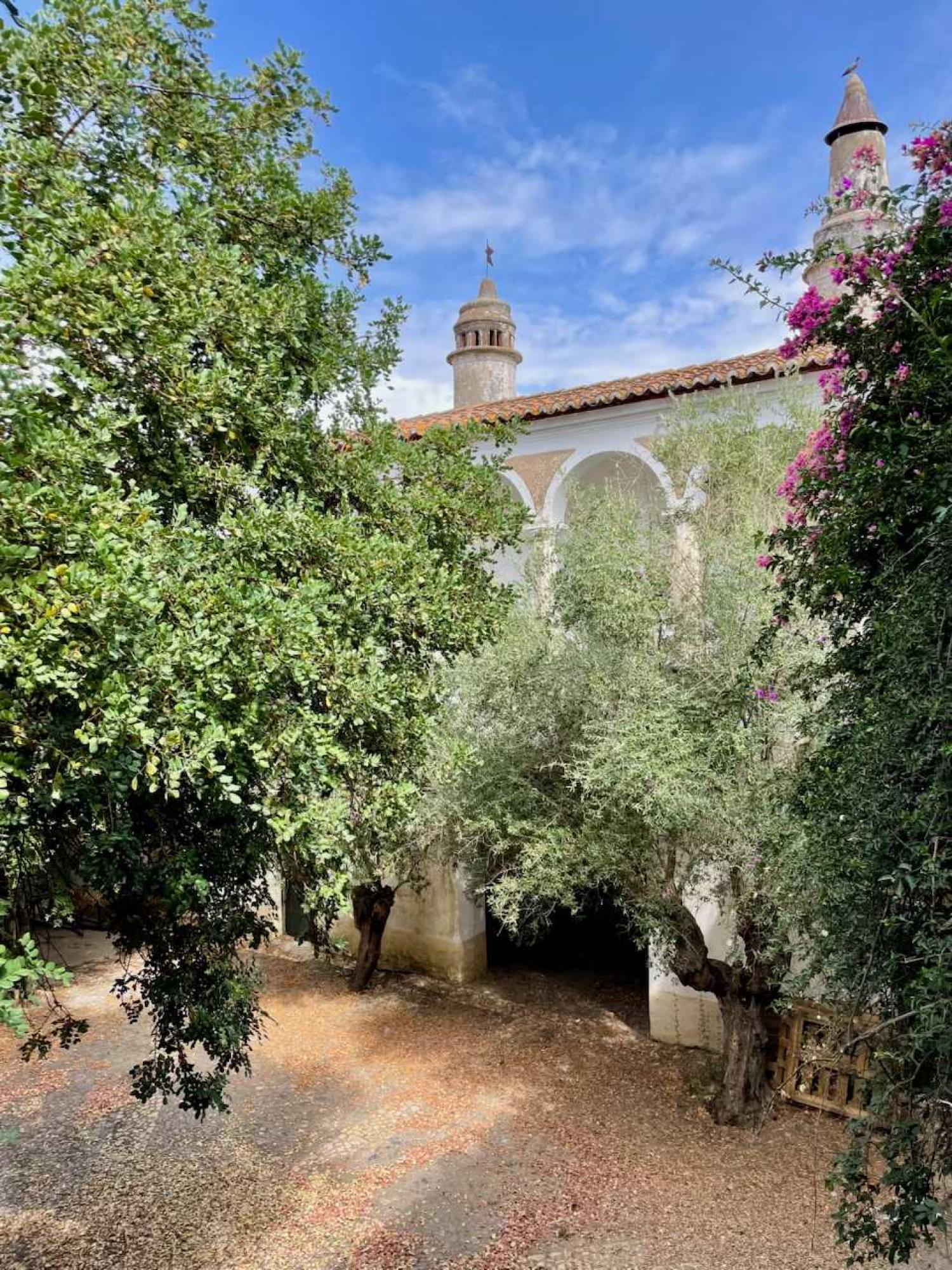  出售 邸 Reguengos de Monsaraz Reguengos De Monsaraz 10