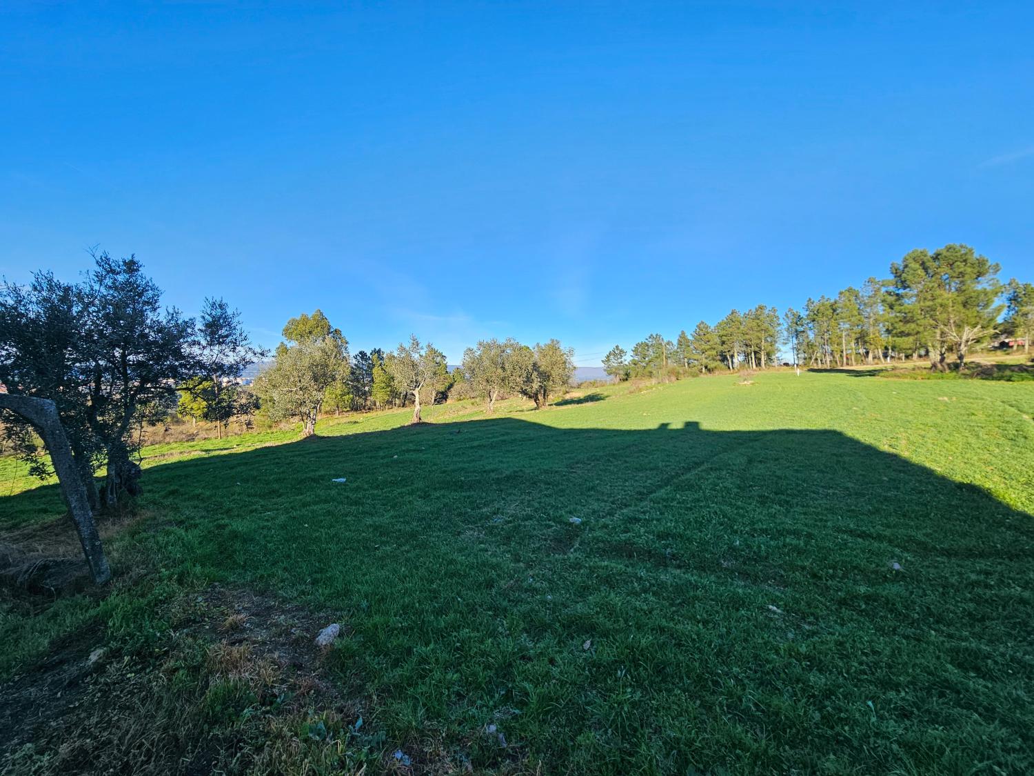  出售 乡间别墅 Aldeia da Serra Celorico Da Beira 5