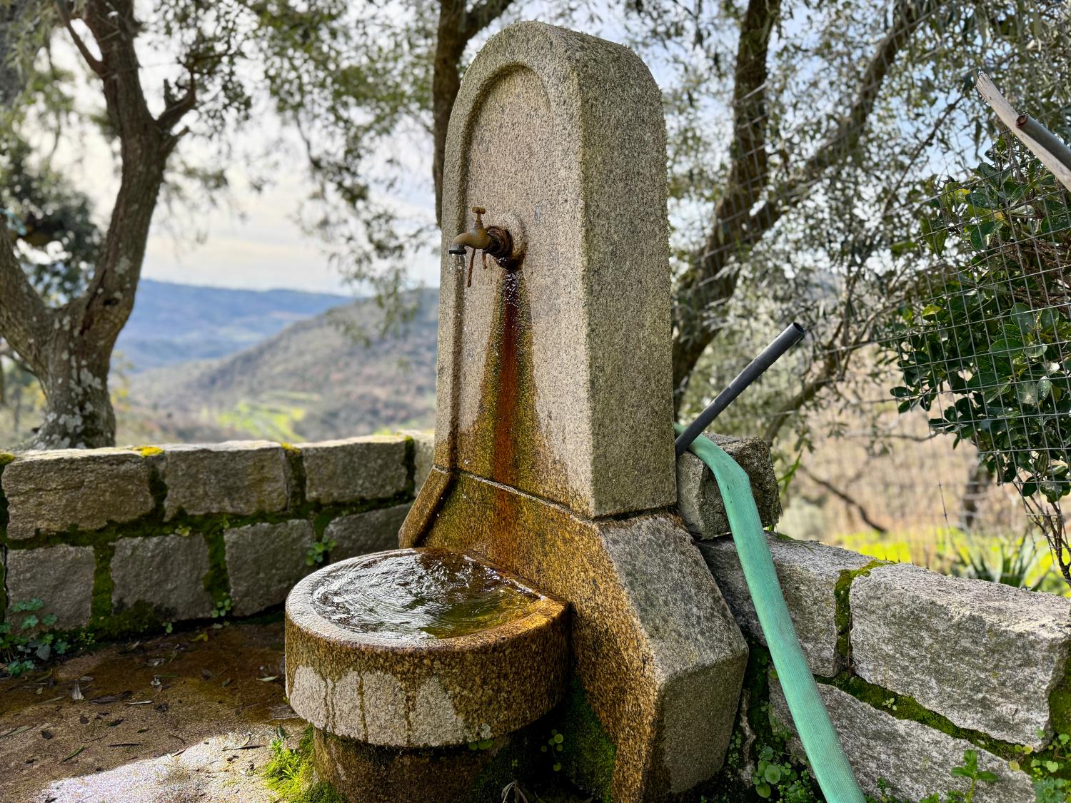  出售 乡间别墅 Pousafoles do Bispo Sabugal 14